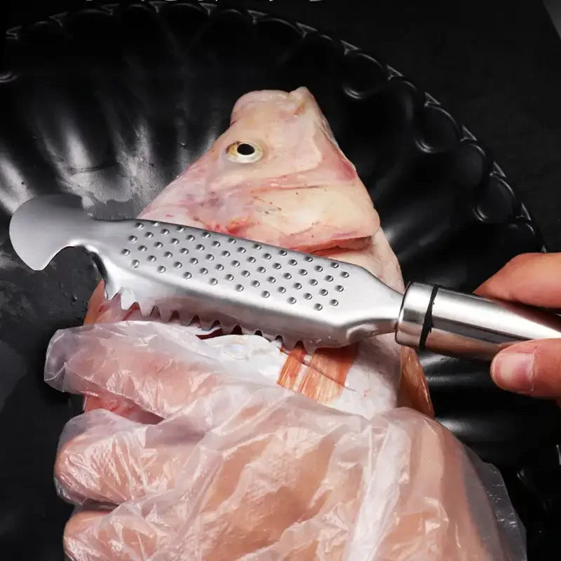 Stainless Steel Fish Scale Scraper & Belly Knife – Multi-Use Ginger & Garlic Grater Kitchen Tool