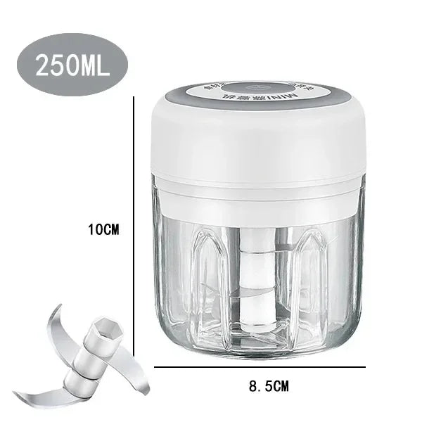 100/250mL USB Charging Garlic Mincer Mini Crusher Chopper Electric Garlic Chopper Powerful Ginger Garlic Onion Meat Masher